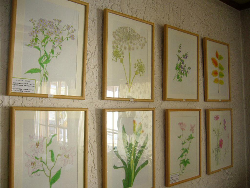 Gallery & Lodge Noichigo Hakuba Exterior photo